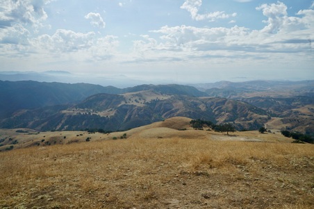 Enlarge photo 11