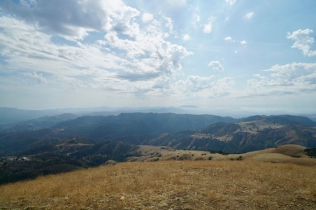 Enlarge photo 14