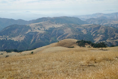 Enlarge photo 15