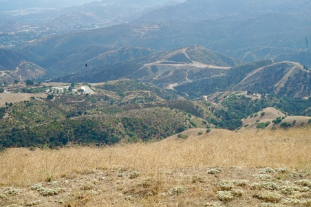 Enlarge photo 20