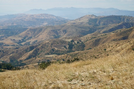 Enlarge photo 22