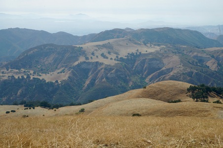 Enlarge photo 23