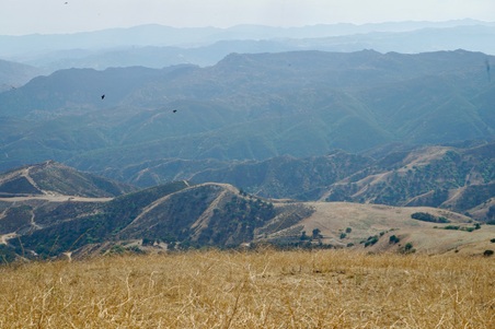 Enlarge photo 24