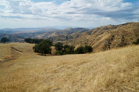Enlarge photo 32