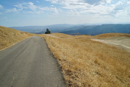 Enlarge photo 36