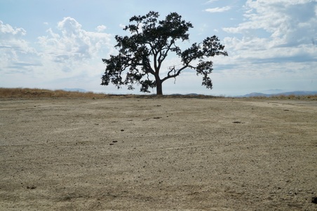 Enlarge photo 37