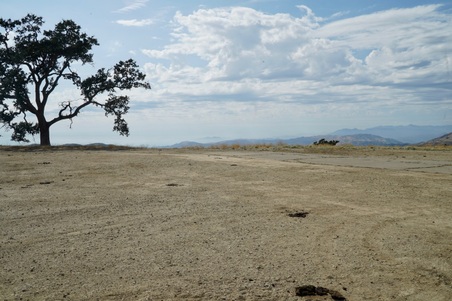 Enlarge photo 39