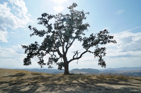 Enlarge photo 40