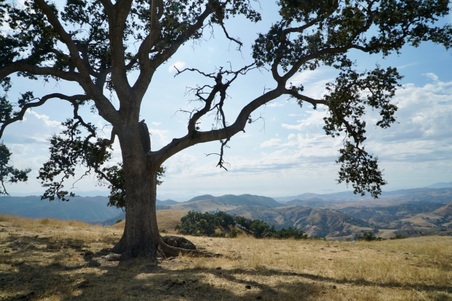 Enlarge photo 41