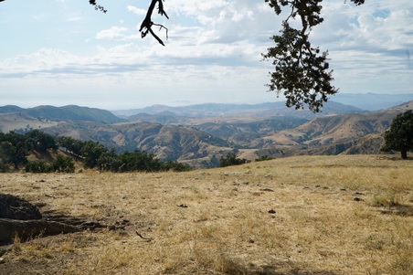 Enlarge photo 43