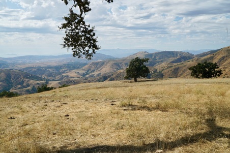 Enlarge photo 44