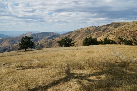 Enlarge photo 45