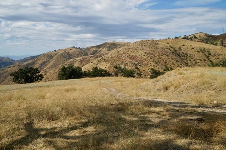 Enlarge photo 46