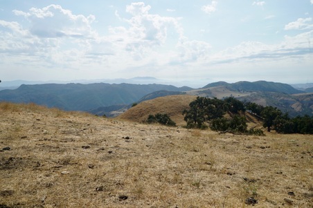 Enlarge photo 47