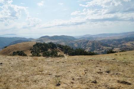 Enlarge photo 49
