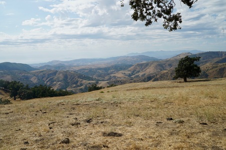 Enlarge photo 48