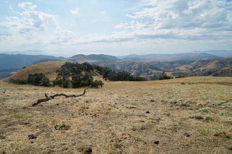 Enlarge photo 51