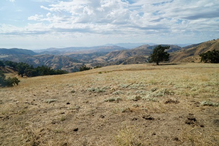 Enlarge photo 50