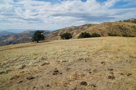 Enlarge photo 52
