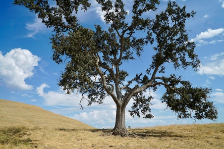 Enlarge photo 53