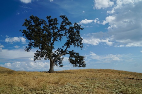 Enlarge photo 55