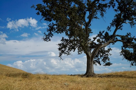 Enlarge photo 56