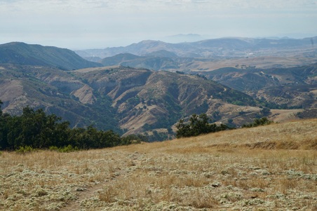 Enlarge photo 59