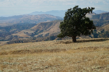 Enlarge photo 61