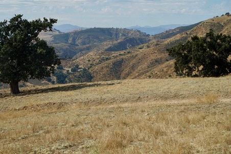 Enlarge photo 62