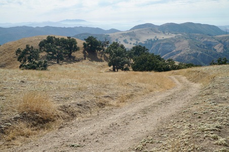 Enlarge photo 63