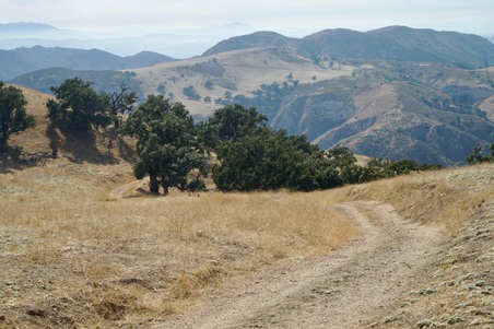 Enlarge photo 64