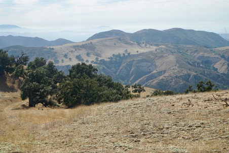 Enlarge photo 67