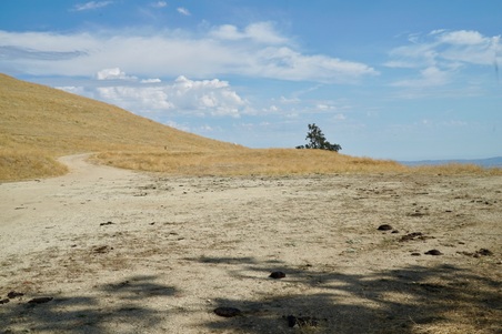 Enlarge photo 74