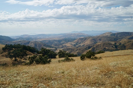 Enlarge photo 77