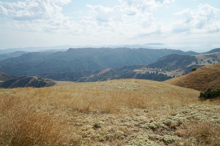 Enlarge photo 79