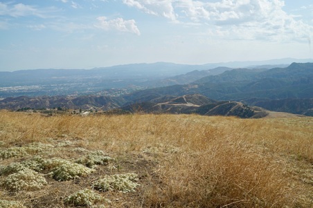 Enlarge photo 80