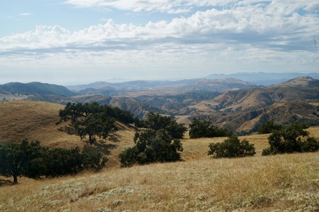 Enlarge photo 82