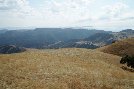 Enlarge photo 84