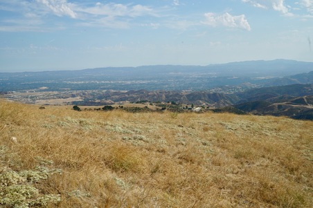 Enlarge photo 86