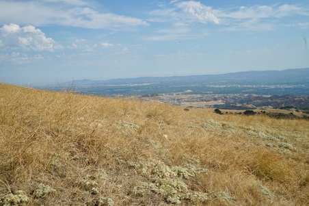 Enlarge photo 87