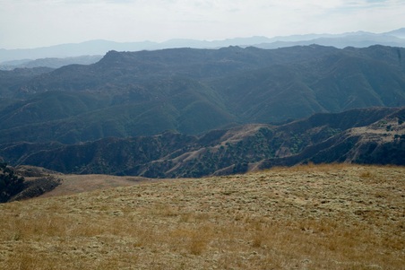 Enlarge photo 89