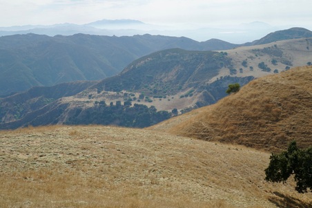 Enlarge photo 90