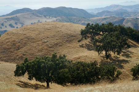 Enlarge photo 91