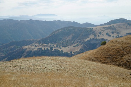 Enlarge photo 93