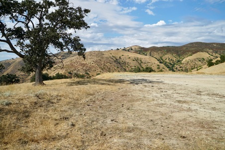 Enlarge photo 97