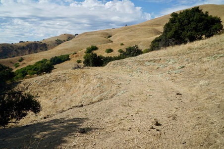 Enlarge photo 104