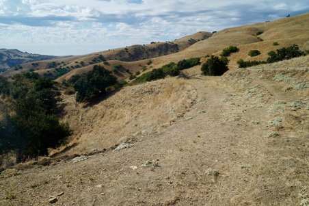 Enlarge photo 106