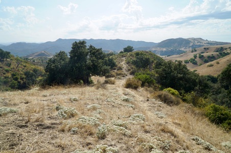 Enlarge photo 107