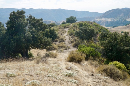 Enlarge photo 108