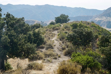 Enlarge photo 109